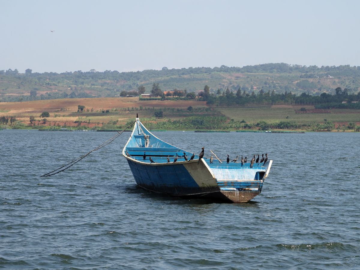 A boat on Lake Victoria near Jinja, Uganda